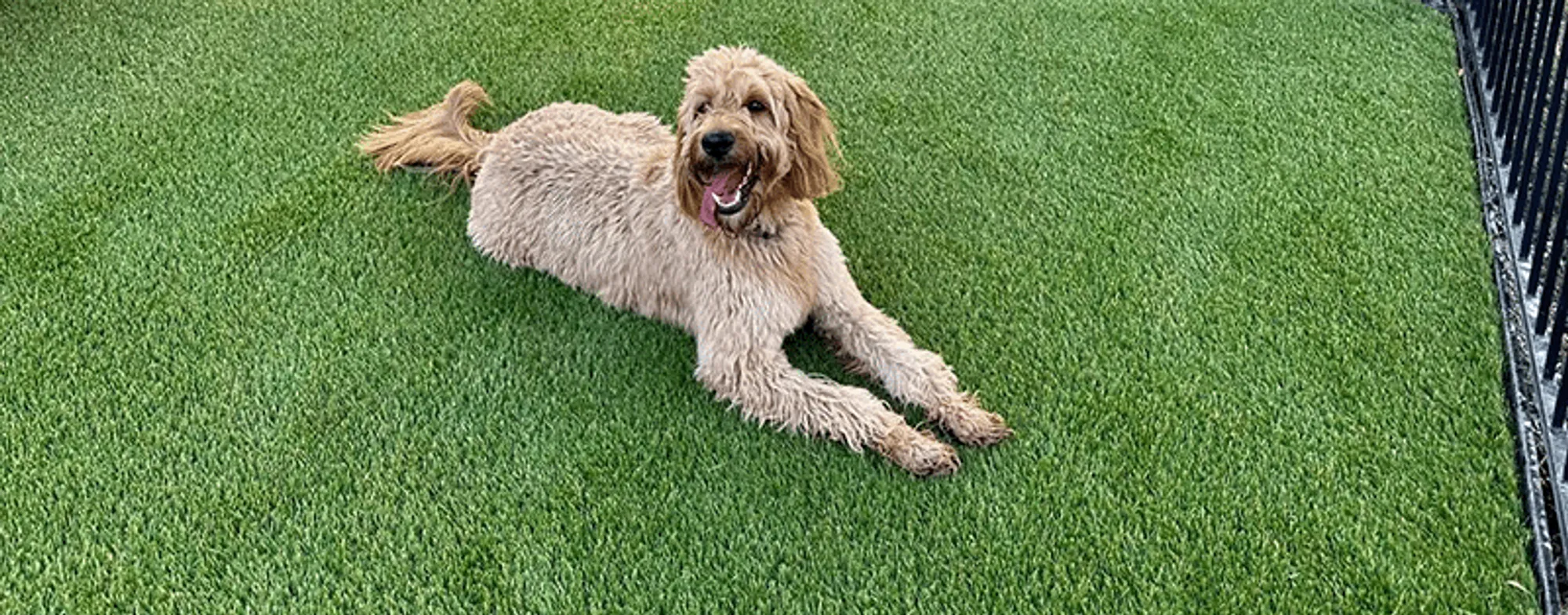 Artificial Turf Drainage Solutions in Stafford, TX